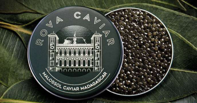 caviar-de-madagascar